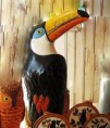 /album/fotogaleria-inicio/tucan-jpg/